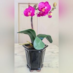NWT. Two Artificial Purple Mini Phalaenopsis Orchid w/Hexagonal Black Glaze Pot.